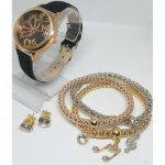 Classic WristWatch & Bracelet + Stud Earring