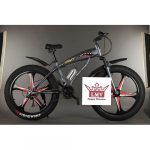 LMV 26 Inches Fat Bike ( Alloy Rim)
