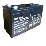 Blue Gate UPS Battery 12V9AH/20HR