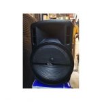 15'' Bluetooth Rechargeable Public Address System With Wireless Microphones