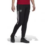Adidas SPORTS PERFORMANCE PANTS AFC TR PNT
