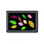 Awesome Colorful Autumn Leaves Wall Frame