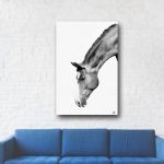Awesome Stretched Horse Neck Wall Canvas